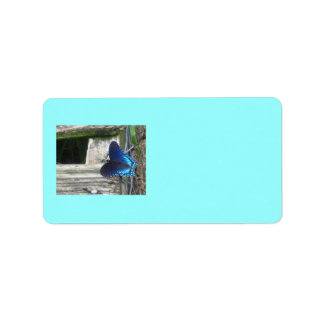 Etiqueta Blue Butterfly Resting Labels