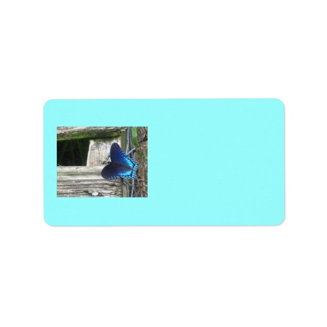 Etiqueta Blue Butterfly Resting Labels (Frente)