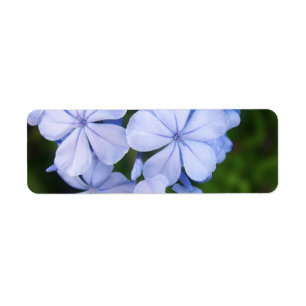 Etiqueta Blue Floral Bokeh