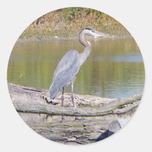 Etiqueta Blue Heron