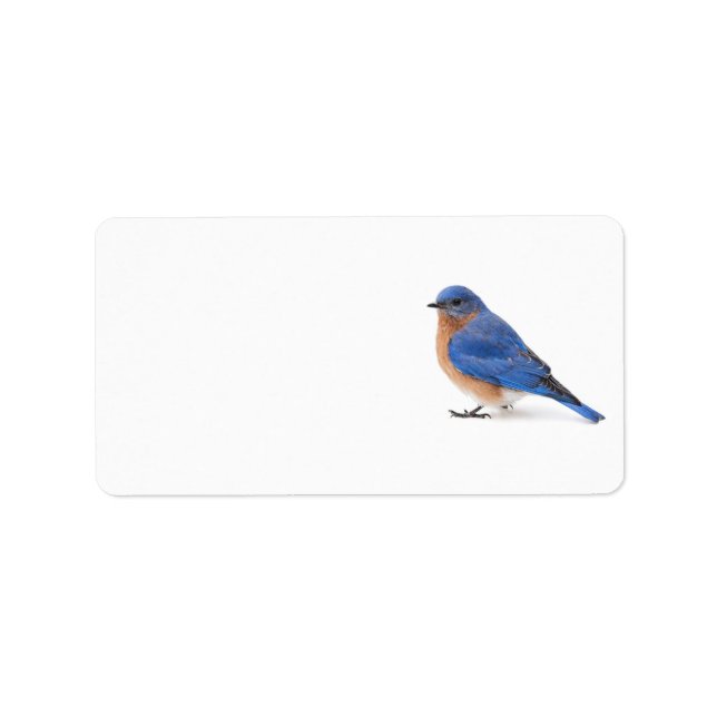 Etiqueta Bluebird (Frente)