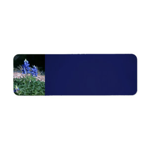 Etiqueta Bluebonnets do Sandbar