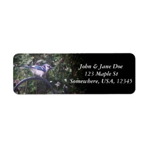 Etiqueta BlueJay 2