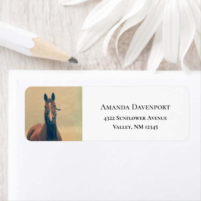 Etiqueta Bonito Cavalo Marrom em pé em um campo (Insitu)