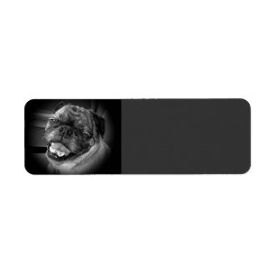 Etiqueta bonito de Avery do cão do Pug