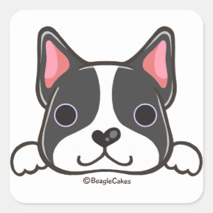 Etiqueta bonito de Boston Terrier