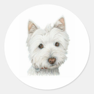 Etiqueta bonito do cão de Westie