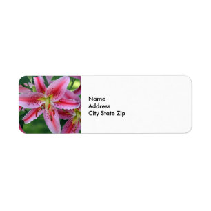 Etiqueta Bonito Foto Floral Lily Rosa