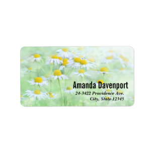 Etiqueta Bonito margaridas em uma fotografia de campo