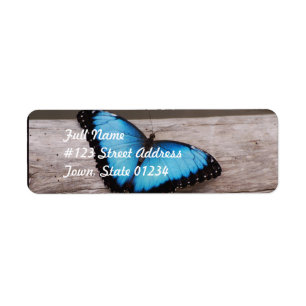 Etiqueta Borboleta azul de Morpho