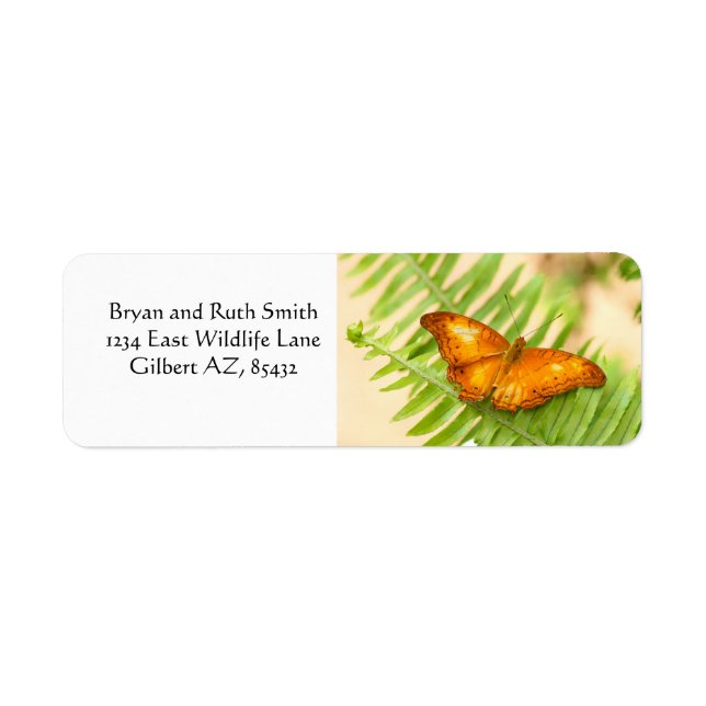 Etiqueta Borboleta de cruzador laranja (Frente)