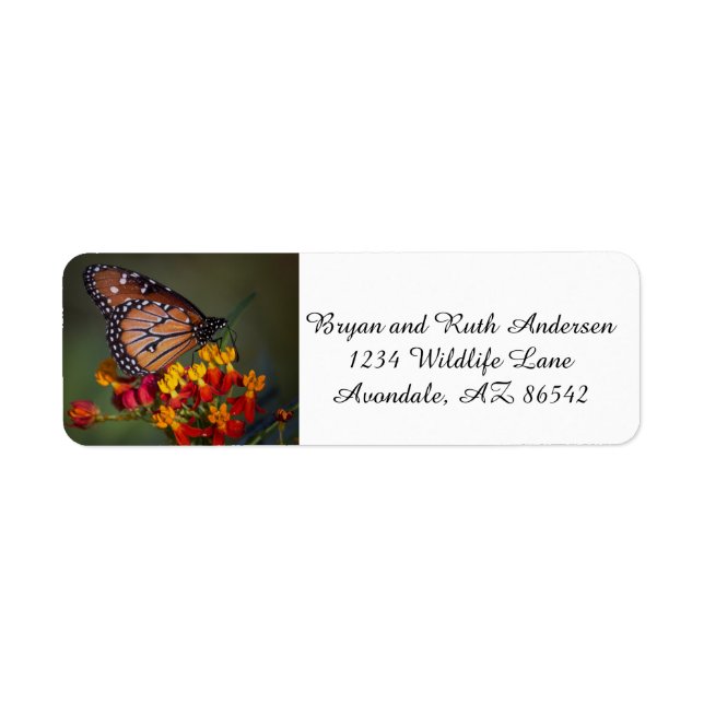 Etiqueta Borboleta-rainha sobre algas tropicais (Frente)