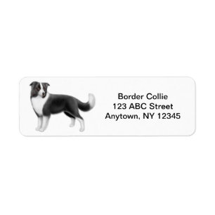 Etiqueta Border collie customizável