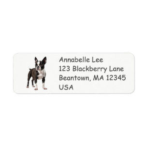 Etiqueta Boston Bull Terrier