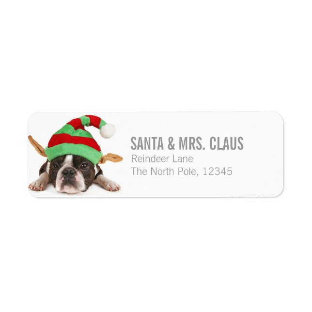Etiqueta Boston Terrier com chapéu de Natal (Frente)