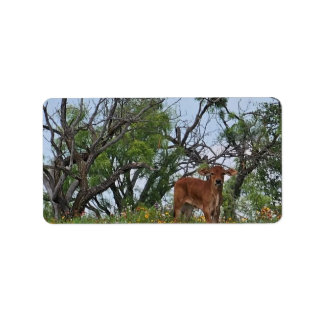 Etiqueta Brahman Calf em Flores Selvagens