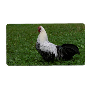 Etiqueta Brakel Hahn