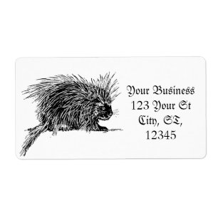 Etiqueta Brilhante e giro Thunder_Cove Hedgehog