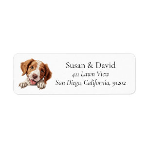 Etiqueta Brittany Dog Breed Pet Lovers
