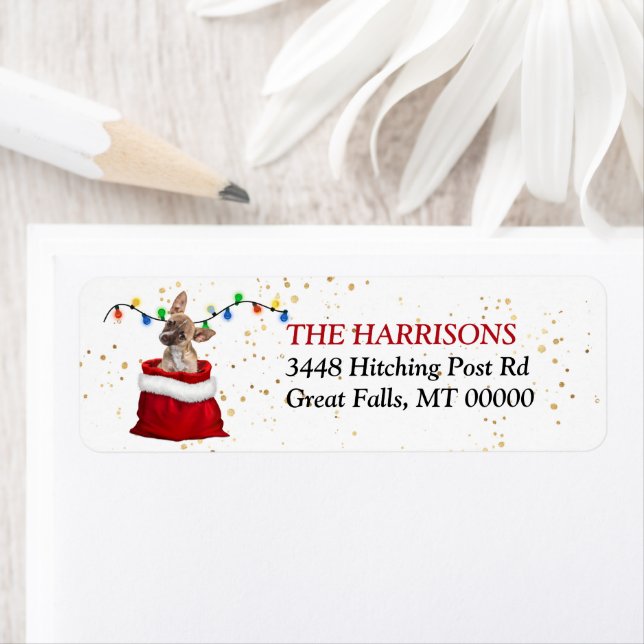 Etiqueta Brown Chihuahau Puppy em Gift Bag Endereço de devo (Insitu)