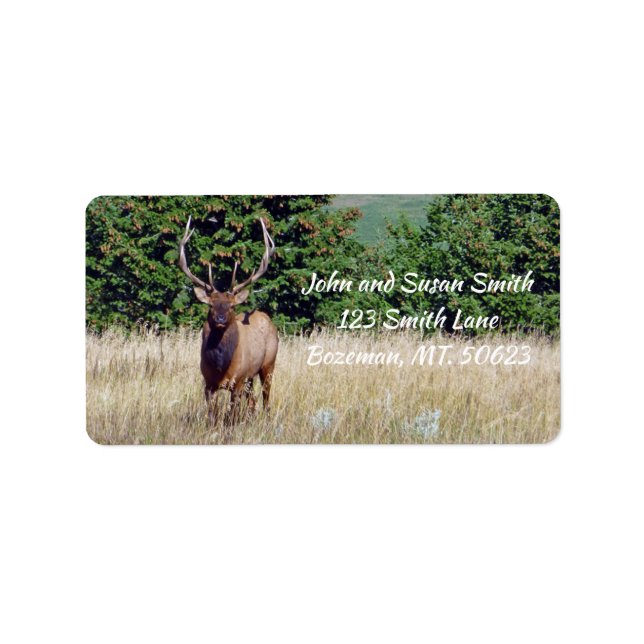Etiqueta Bull Elk Address Label (Frente)