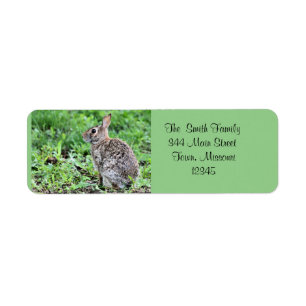 Etiqueta Bunny