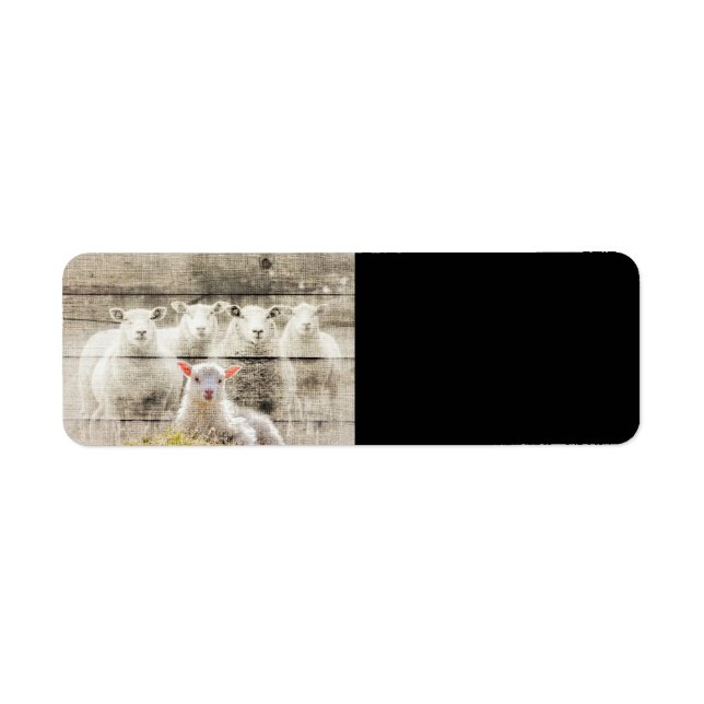 Etiqueta Burlap, Bebê Rústico (Frente)