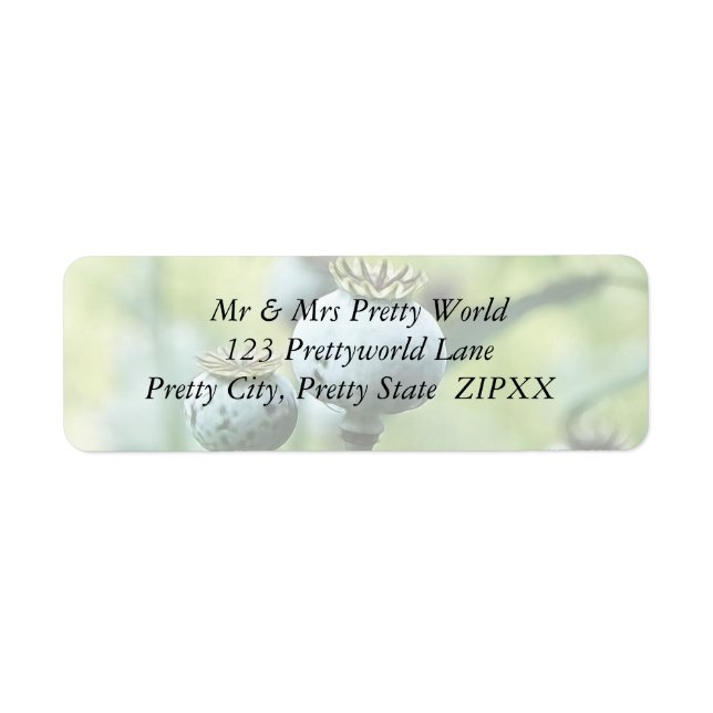 Etiqueta Cabeças de Papaver Somniferum (Frente)