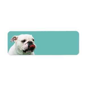 Etiqueta Cachorro-branco