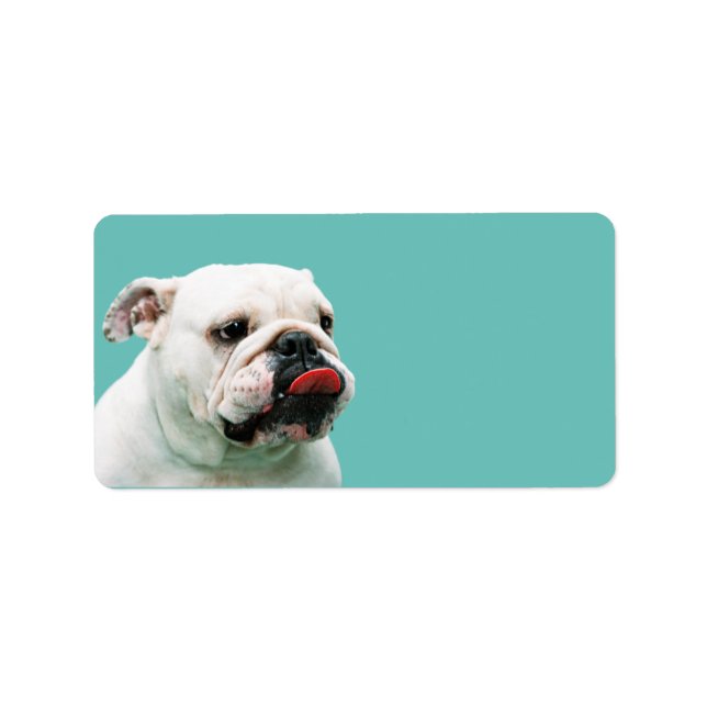 Etiqueta Cachorro-branco (Frente)