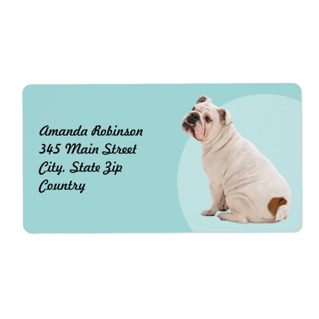 Etiqueta Cachorro branco de cão bonito (Frente)