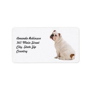 Etiqueta Cachorro branco de cão bonito