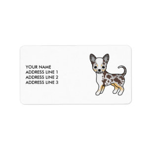 Etiqueta Cachorro Casaco Chihuahua Cachorro Suave