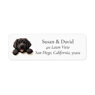 Etiqueta Cachorro da Terra Nova Pet Lovers