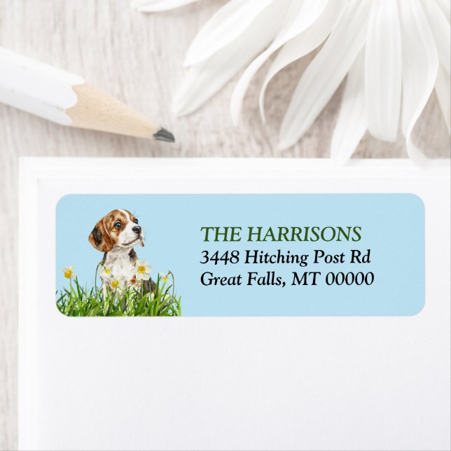 Etiqueta Cachorro Daffodil Garden Beagle Puppy (Insitu)