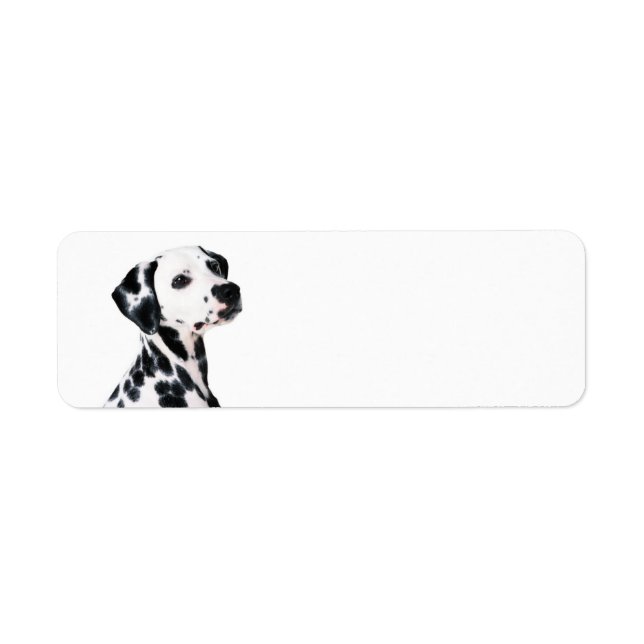 Etiqueta Cachorro Dalmaciano (Frente)