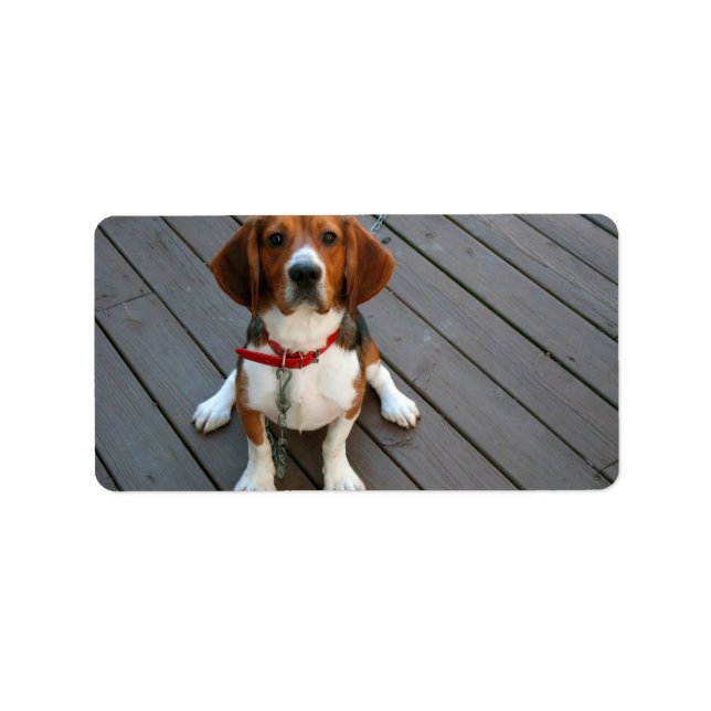 Etiqueta Cachorro De Beagle Mais Justo (Frente)