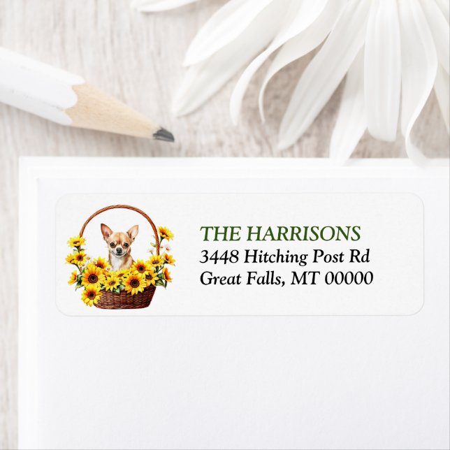 Etiqueta Cachorro de Girassol Chihuahua (Insitu)