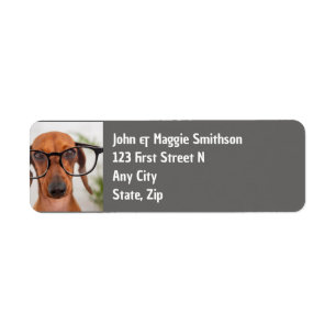 Etiqueta Cachorro Diversão com Pet de Óculos