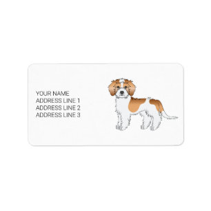 Etiqueta Cachorro Mini Goldendoodle de Partida Apricot