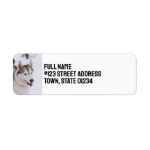 Cachorro Siberian Husky Personalizado Customizado