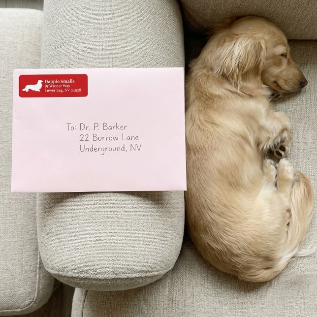 Etiqueta Cachshund Wiener | Rótulo de Endereço de Retorno V (Dachshund Wiener Dog | Red Return Address Label)