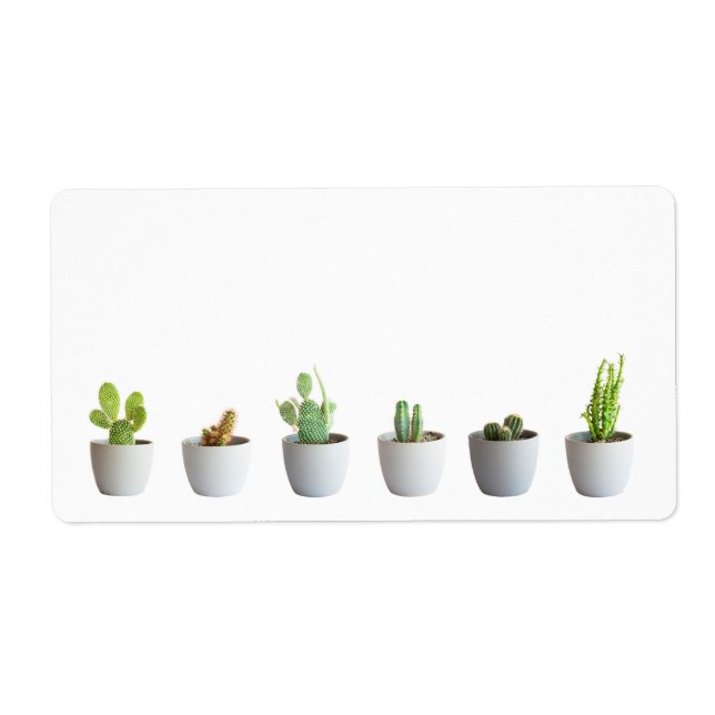 Etiqueta Cacto em potes (Frente)