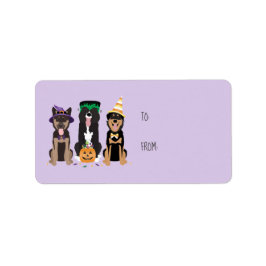 Etiqueta Cães Nos Fatos De Halloween