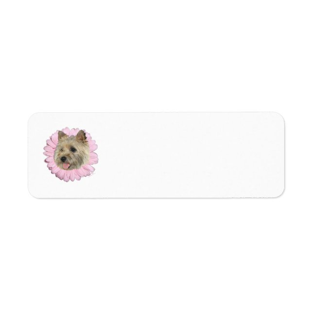 Etiqueta Cairn Terrier Flor de Primavera (Frente)