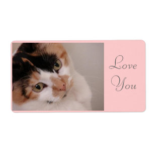 Etiqueta Calico Cat