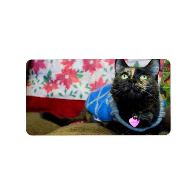 Etiqueta Calico II (Frente)