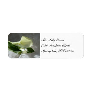 Etiqueta Calla Lily no Lace Branco