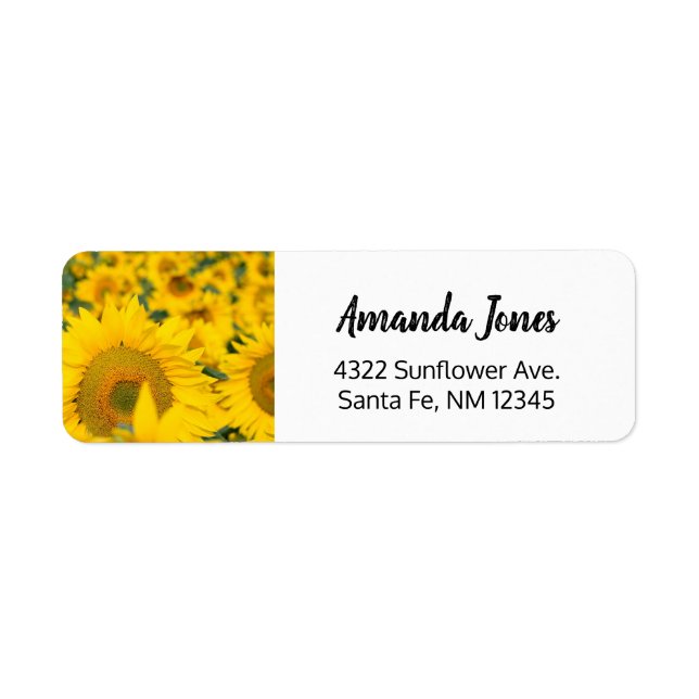 Etiqueta Campo Amarelo de Girassóis Fotografia (Frente)