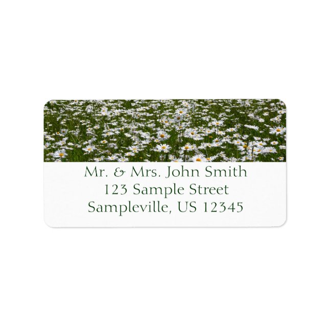 Etiqueta Campo de flores silvestres do Alasca da Daisies (Frente)
